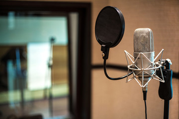 Professional condenser studio microphone