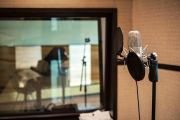 Professional condenser studio microphone