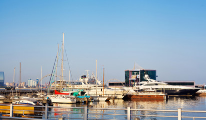 Yachts in port