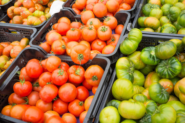 Crates of tomatoes