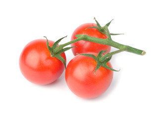 tomato isolated on white background