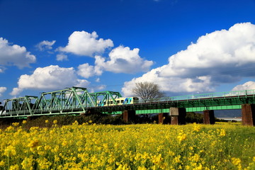 平成鉄道　ちくまる © hsk2600