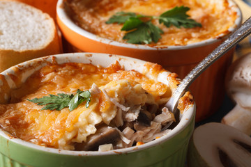 gratin stuffed with chicken and mushrooms macro
