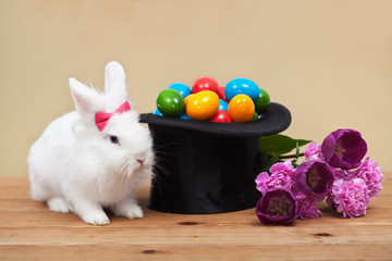 Easter bunny with spring flowers and colorful eggs