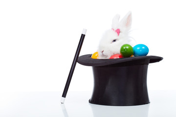 Cute white rabbit with colorful easter eggs in magician hat