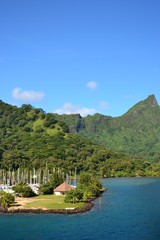 Fototapeta premium ILE DE MOOREA : PORT DE VAIARE