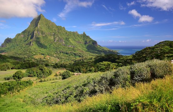 MOOREA :  MONT ROTUI