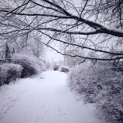 Zimowa droga w stronę ratusza © Tomasz Niewęgłowski