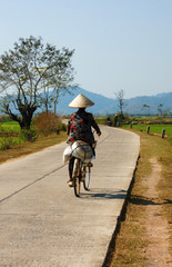 Fototapeta premium Vietnamese woman riding bicycle