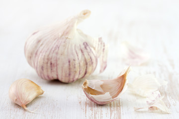 fresh garlic