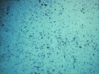 Grunge textures