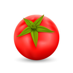 Tomato on white background