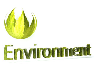 Environment