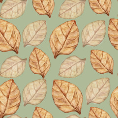 Seamless pattern with tobacco leaf. Watercolor illustration