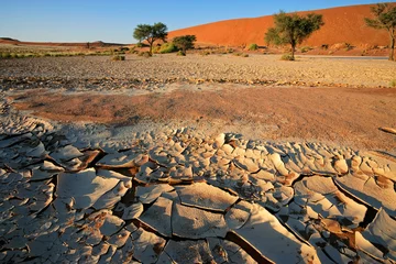 Fotobehang Desert landscape with red dunes, Sossusvlei © EcoView