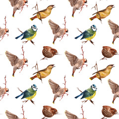 Seamless pattern with birds. Watercolor illustration.