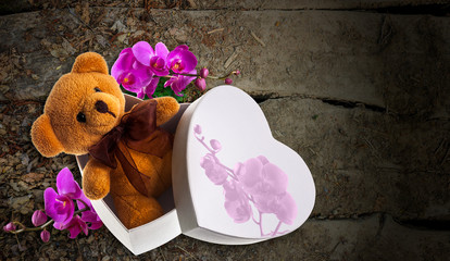 bear with orchid in heart box