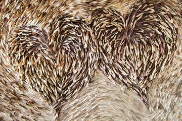 Heart made of leaves