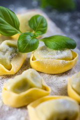 Home cooking, freshly made ravioli italian pasta