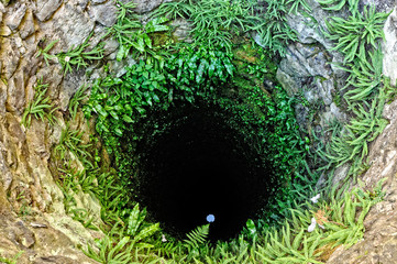 deep well with grass on stone walls