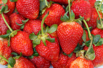 strawberry on white background