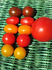 tomates cerises