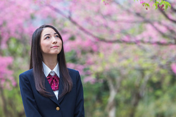 桜と女子学生