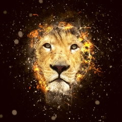 Conceptual Lion Portrait