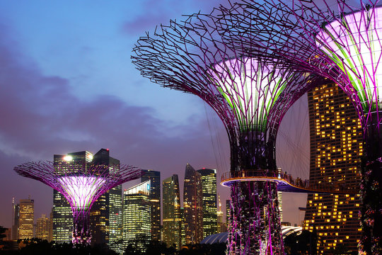 Gardens By The Bay At Night. Singapore