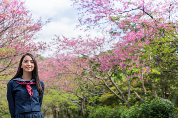 桜 コピースペースと女子学生