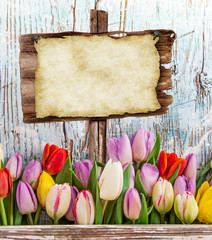 Tulips on wooden background