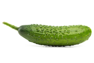 Cucumber