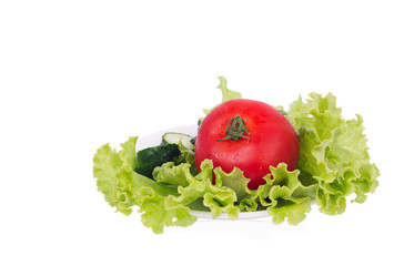 Lettuce with sliced cucumber and tomato lying on the plate
