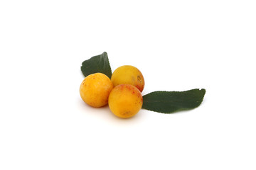 Prunes