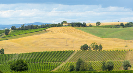 Montalcino (Tuscany, Italy)