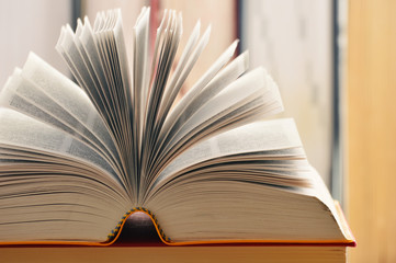 Composition with books on the table