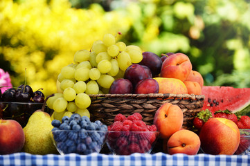 Obraz na płótnie Canvas Basket of fresh organic fruits in the garden
