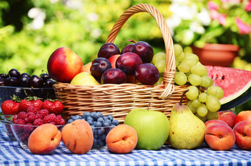 Naklejka na ściany i meble Basket of fresh organic fruits in the garden