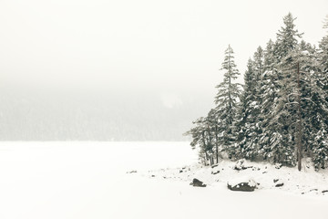 Eibsee winter