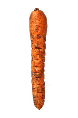 Dirty carrot closeup