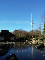 Hamburg Planten un Bloomen mit blick auf den Fernsehturm © noerring80