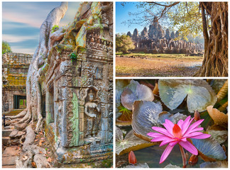 Ancient tree roots and lotus flower, Angkor, collage