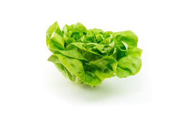 lettuce on white background