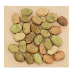 Broad bean seeds - red flower variety. Vicia faba. Aka fava, fie