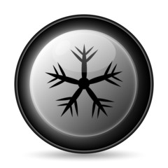 Snowflake icon