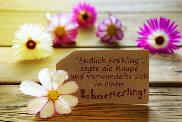 Obraz na płótnie Canvas Sunny Label With German Life Quote With Cosmea Blossoms