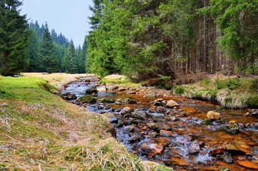 Erfrischender Gebirgsbach im Erzgebirge