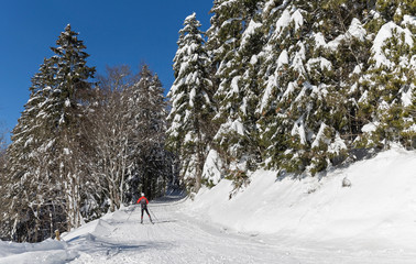 Skieur de fond
