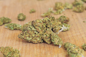 Dry marijuana buds