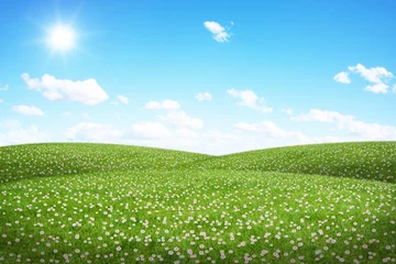 Papier Peint photo Lavable Campagne Green field and blue sky